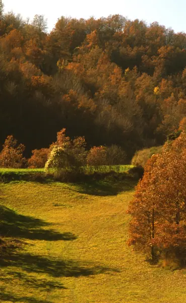 Vidrà i Tavèrnoles (Osona) · 00925