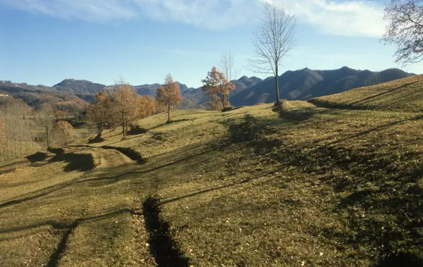 Vidrà i Tavèrnoles (Osona) · 00926