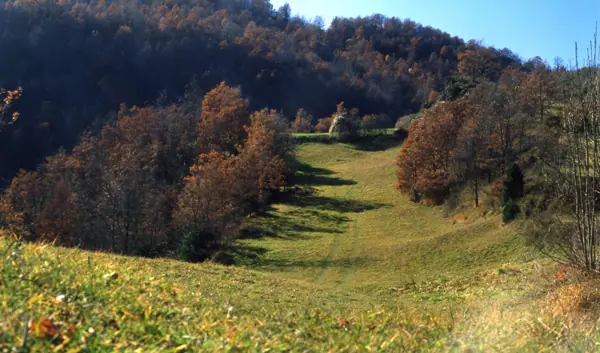 Vidrà i Tavèrnoles (Osona) · 00931