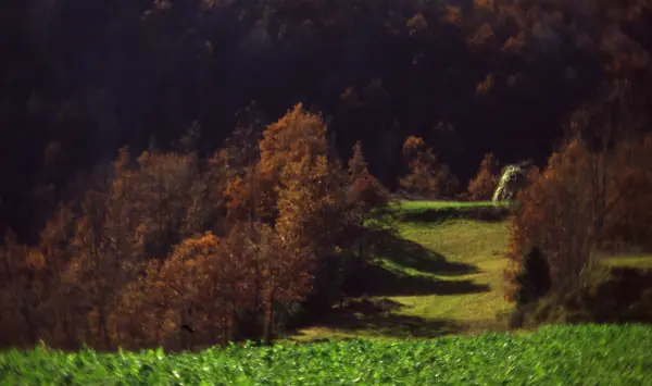 Vidrà i Tavèrnoles (Osona) · 00933