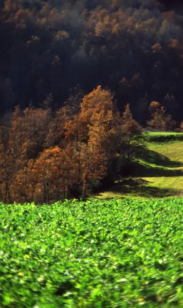 Vidrà i Tavèrnoles (Osona) · 00934