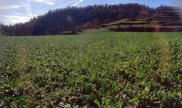 Vidrà i Tavèrnoles (Osona) · 00930