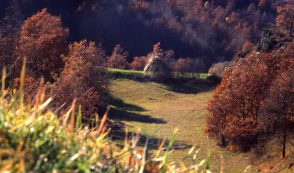 Vidrà i Tavèrnoles (Osona) · 00932