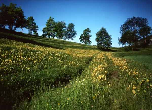 Vidrà i Tavèrnoles (Osona) · 04758