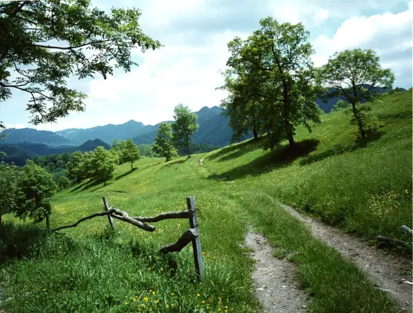 Vidrà i Tavèrnoles (Osona) · 04757