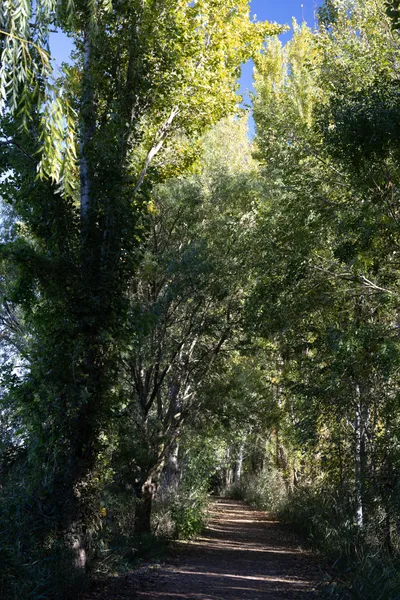 Estany d'Ivars (Vila-sana) · 08908