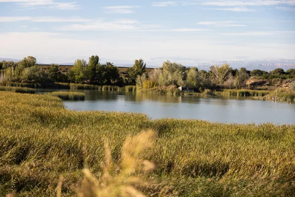 Estany d'Ivars (Vila-sana) · 08917