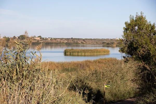 Estany d'Ivars (Vila-sana) · 08919