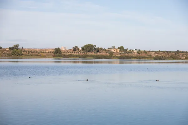Estany d'Ivars (Vila-sana) · 08921