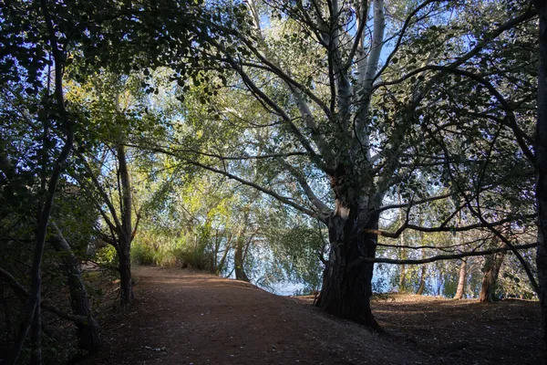 Estany d'Ivars (Vila-sana) · 08925