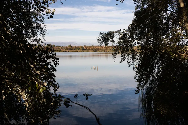 Estany d'Ivars (Vila-sana) · 08926