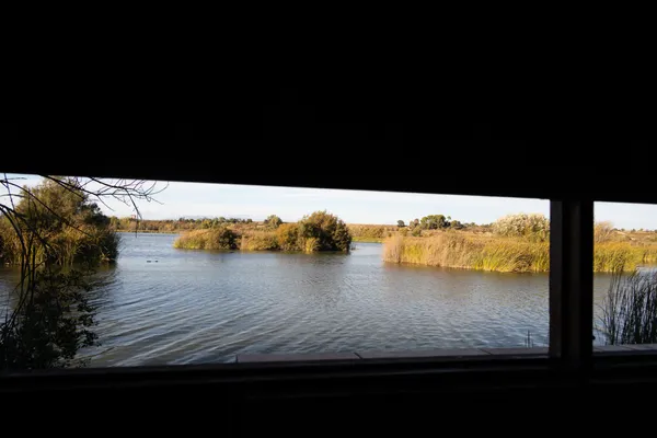 Estany d'Ivars (Vila-sana) · 08929