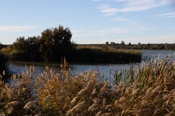 Estany d'Ivars (Vila-sana) · 08930
