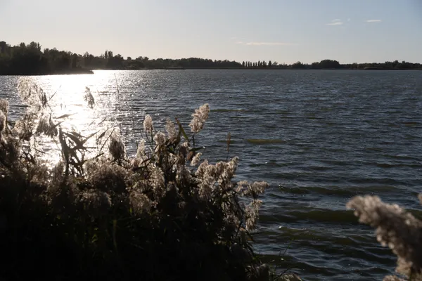 Estany d'Ivars (Vila-sana) · 08932