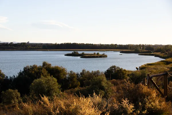 Estany d'Ivars (Vila-sana) · 08936