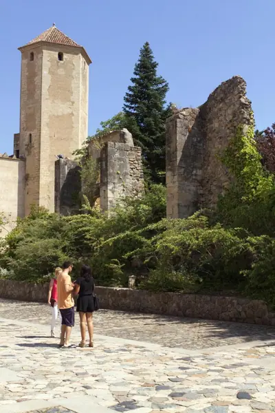 Reial Monestir de Poblet (Vimbodí i Poblet) · 04563