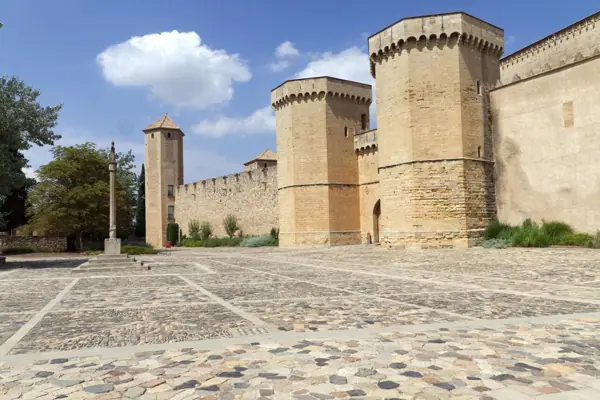 Reial Monestir de Poblet (Vimbodí i Poblet) · 04566