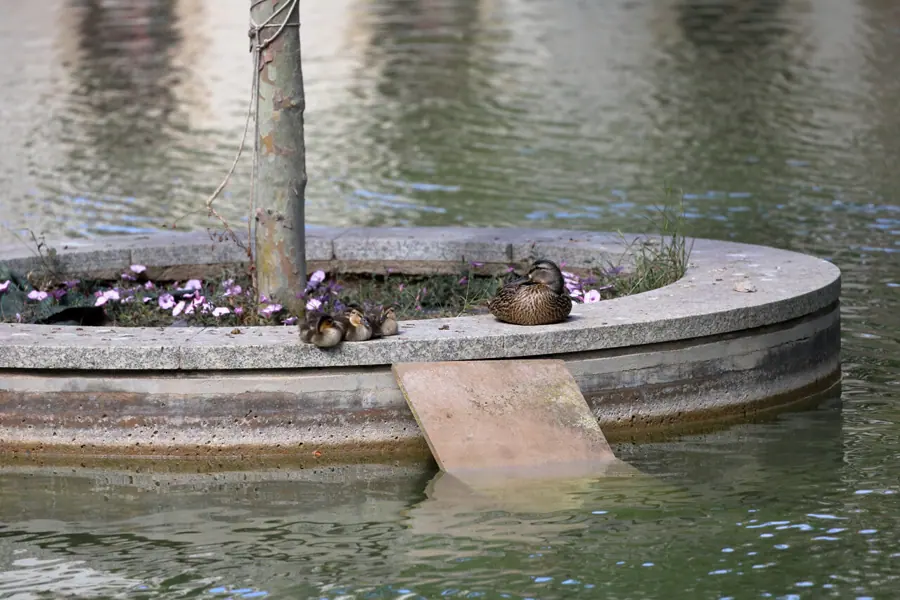 Parc del Baix Guinardó