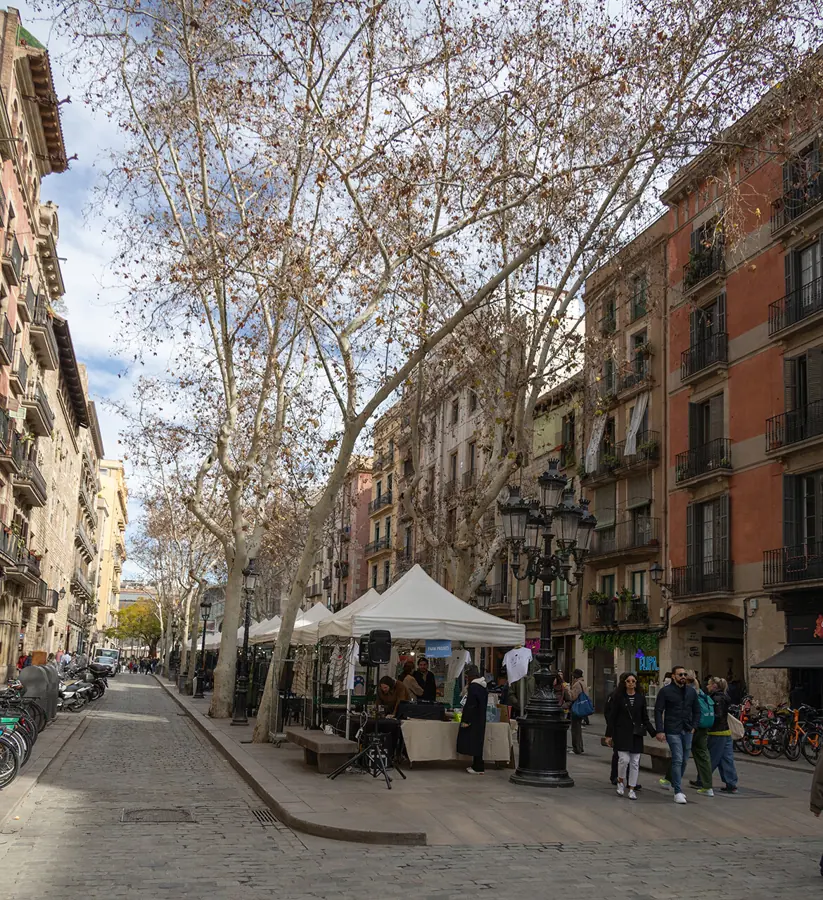 Passeig del Born