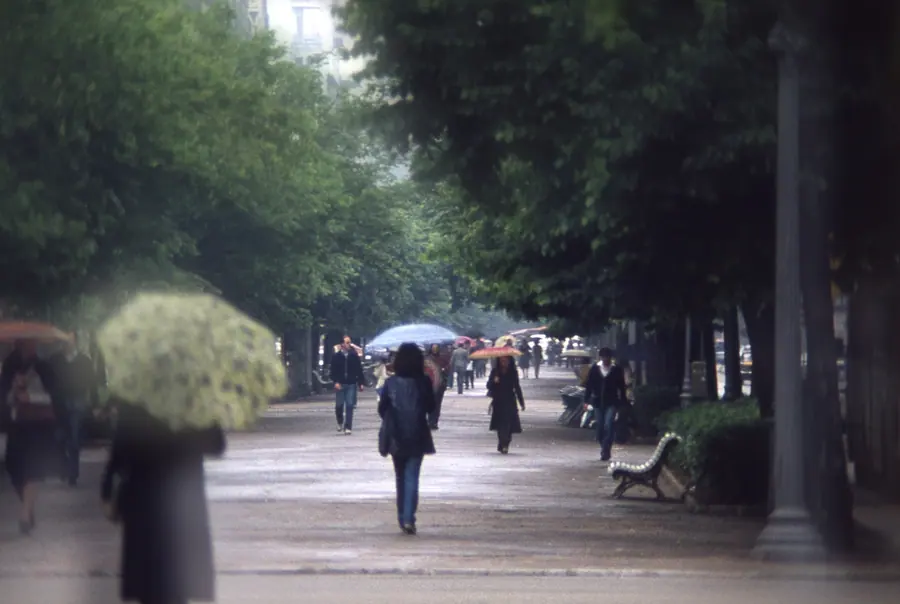 Passeig i plaça de Catalunya, 1980
