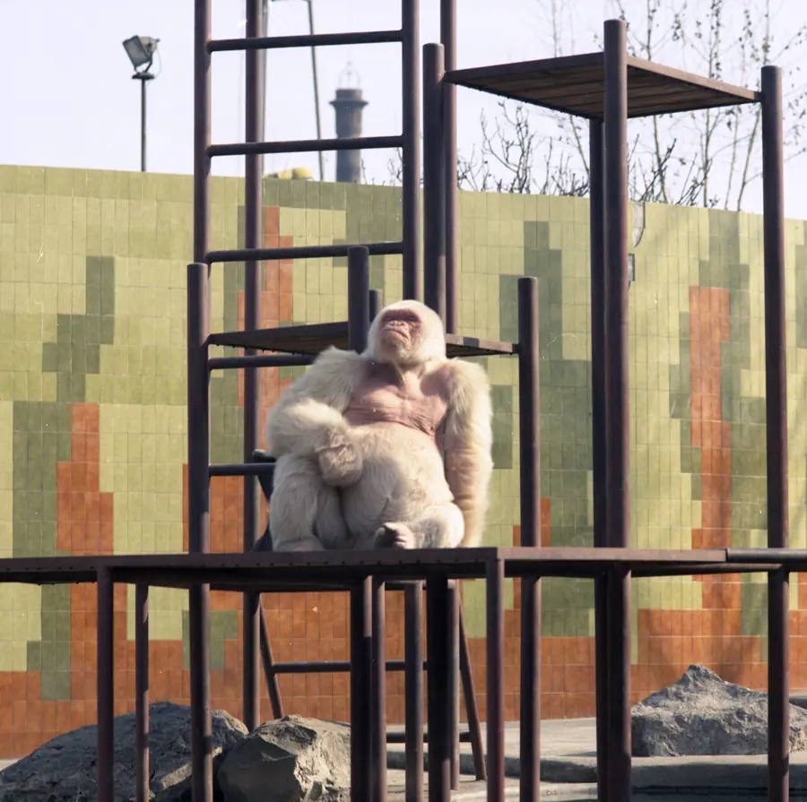 Zoo, «Floquet de Neu»
