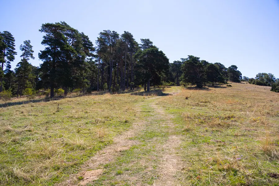 Serra de Busa
