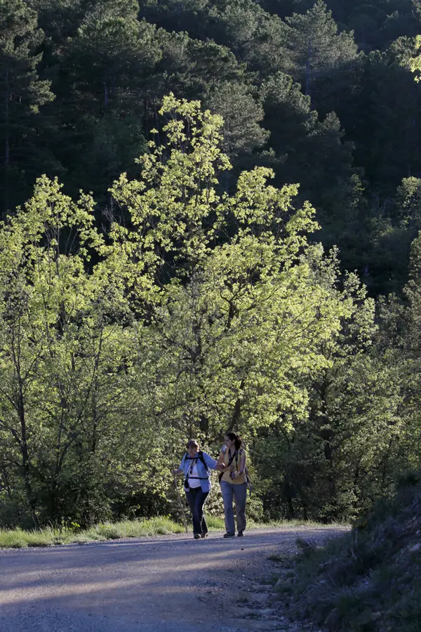 Valldarques, església i paisatges
