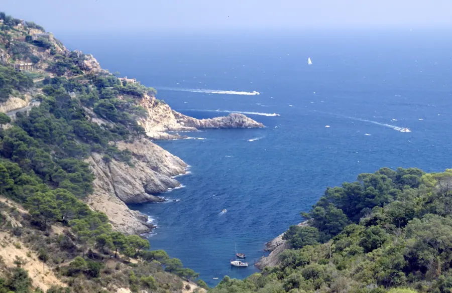 Coves marines