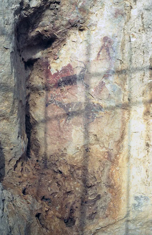 Pintures rupestres, 1992