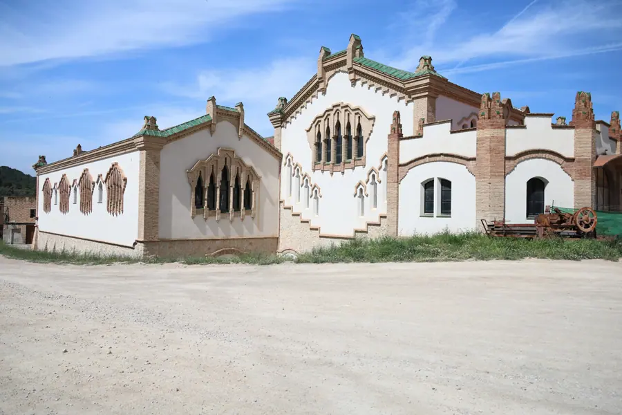 Catedral del Vi