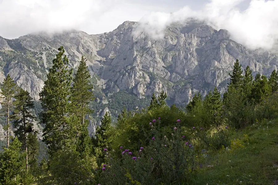 Penyes Altes del Moixeró