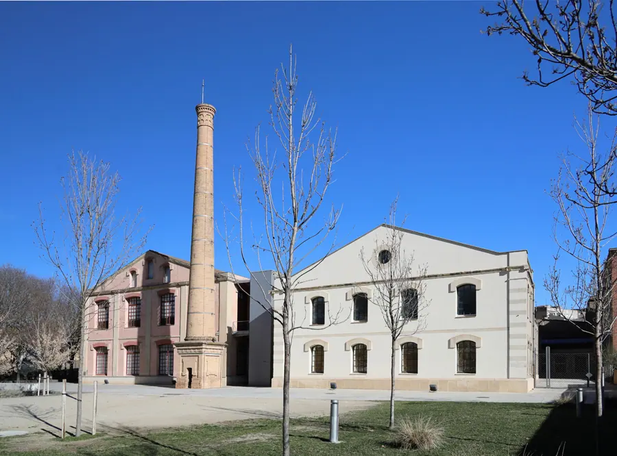 Cal Boyer, Museu de la Pell