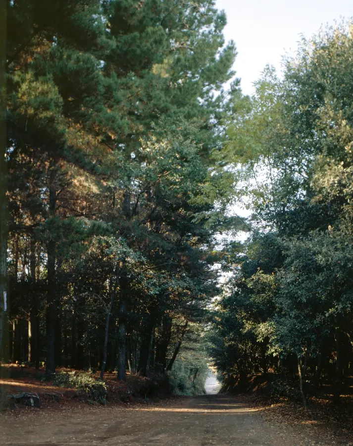 Paisatges