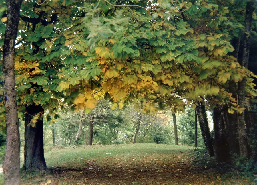 Panteó carlí i Rupit