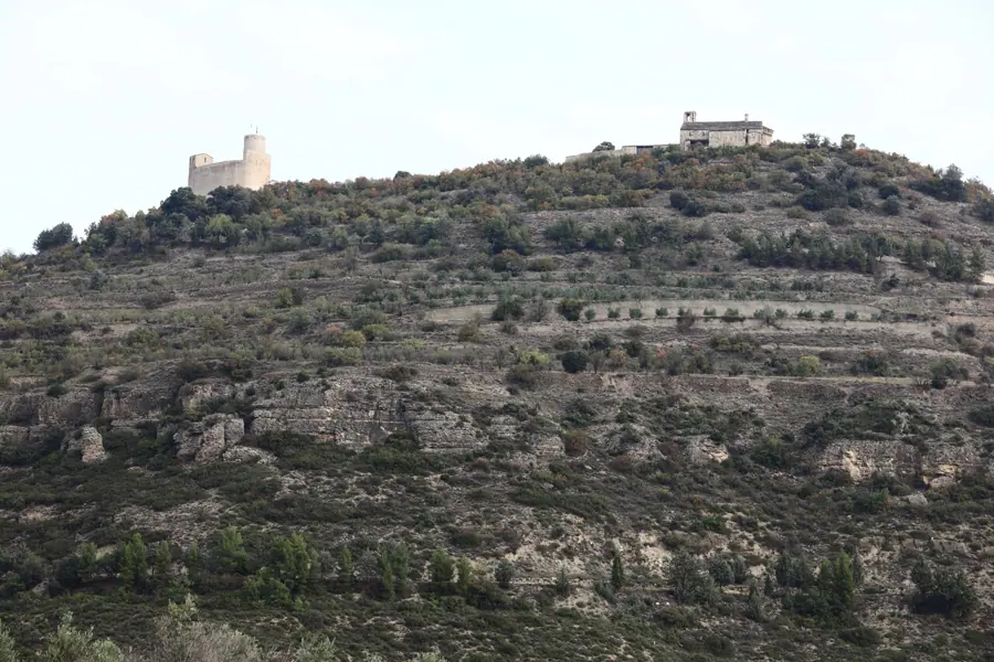 Castell i col·legiata