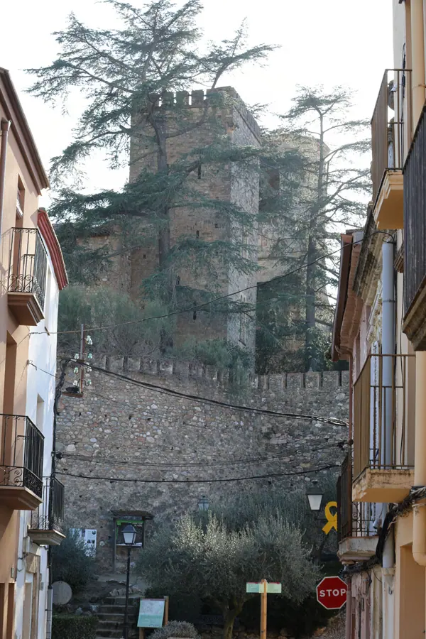 Castell (exteriors)