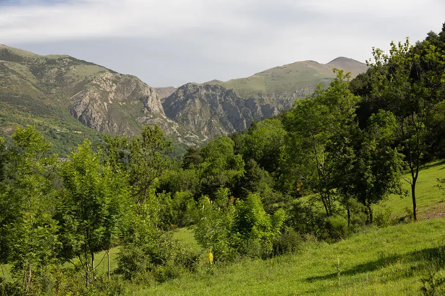 Ruta de Ribes de Freser a Tregurà