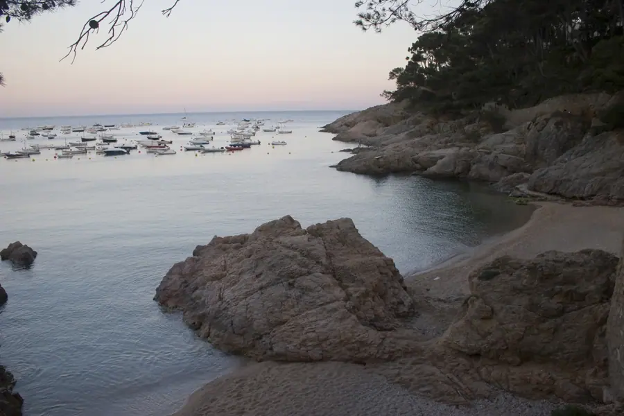 Tamariu